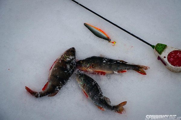 Изображение 1 : Последняя зимняя рыбалка